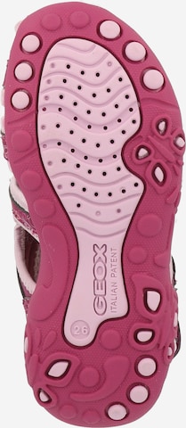 GEOX Open schoenen 'Whinberry' in Roze