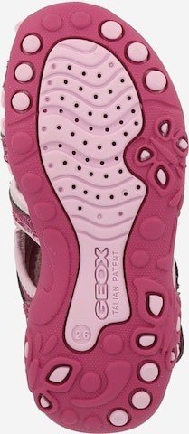 Chaussures ouvertes 'Whinberry' GEOX en rose