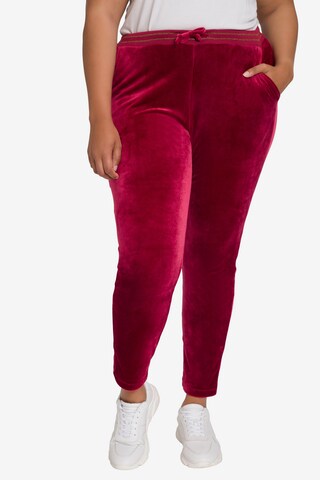 Ulla Popken Slimfit Broek in Rood: voorkant