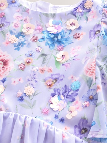 Next Kleid in Lila