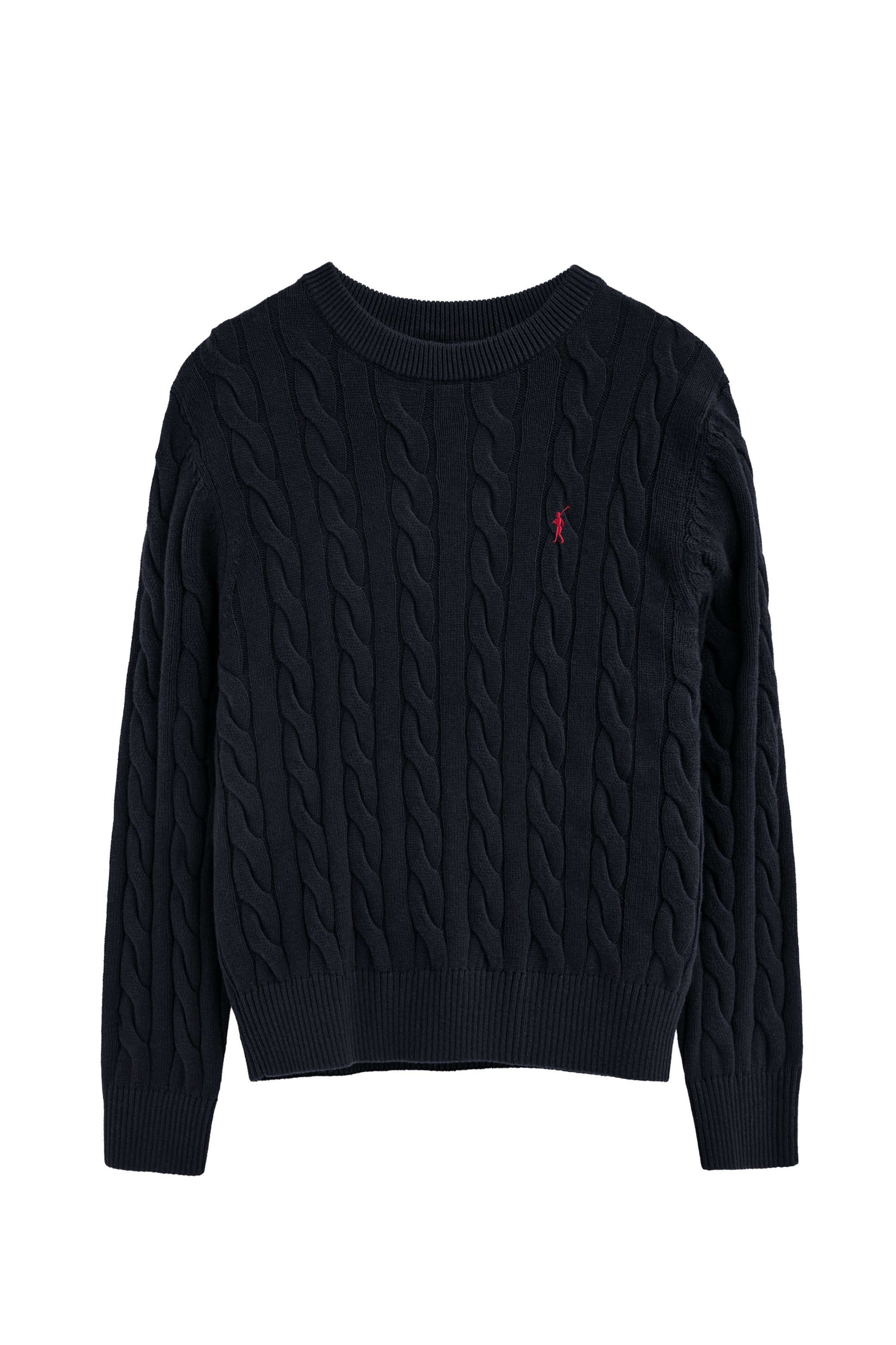 Polo Club Sweater in Blue