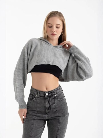 Hiccup Sweater in Grey: front