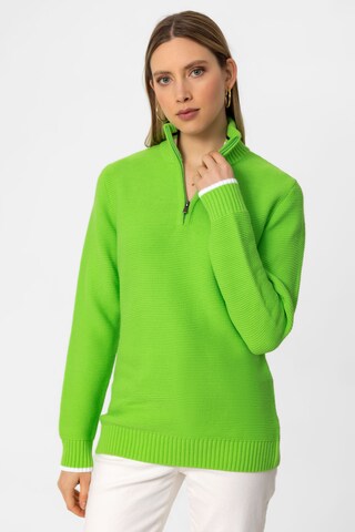 DENIM CULTURE Sweater 'DINA' in Green: front