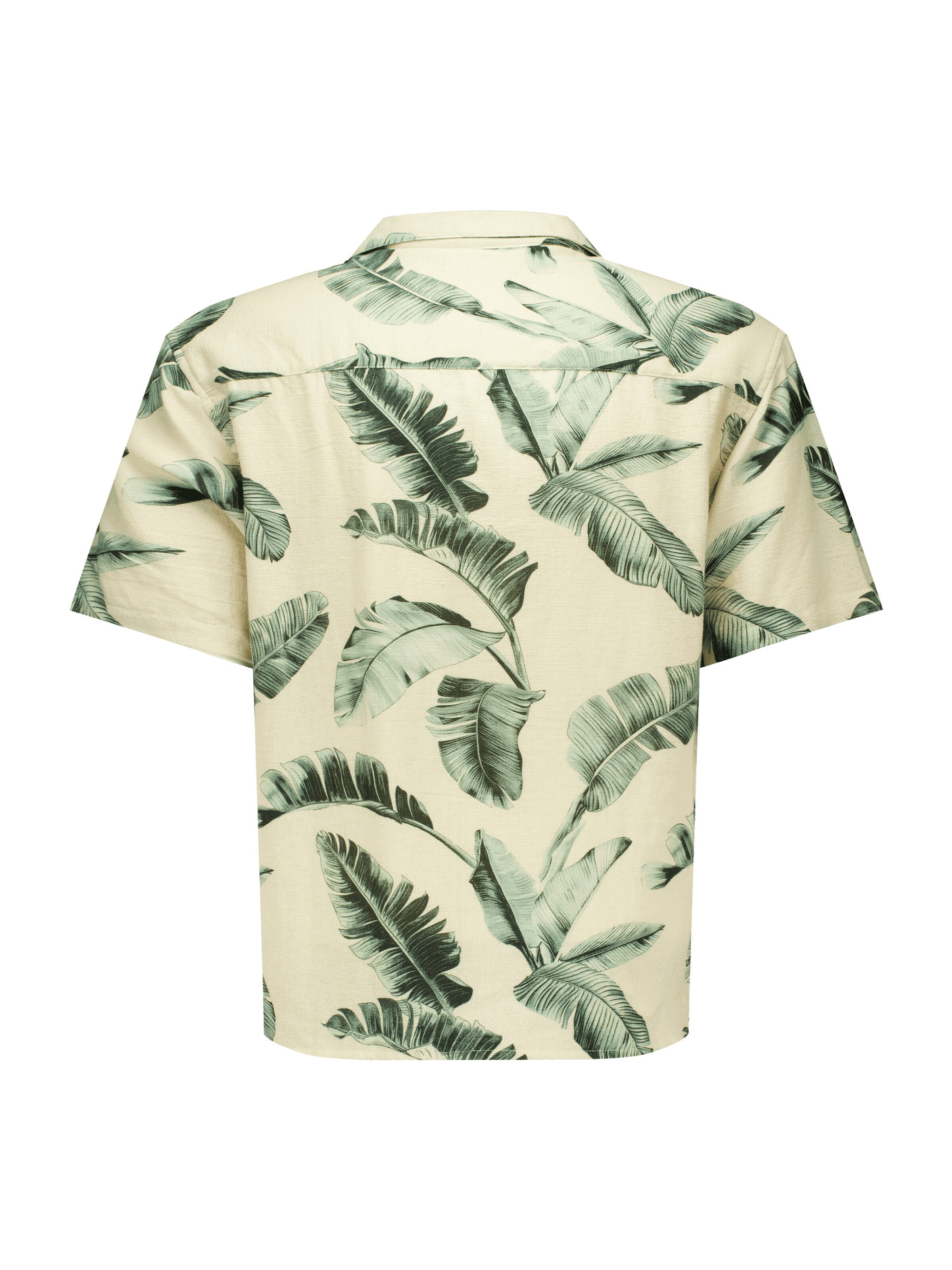 Deeluxe Comfort fit Button Up Shirt 'Biloxi' in White