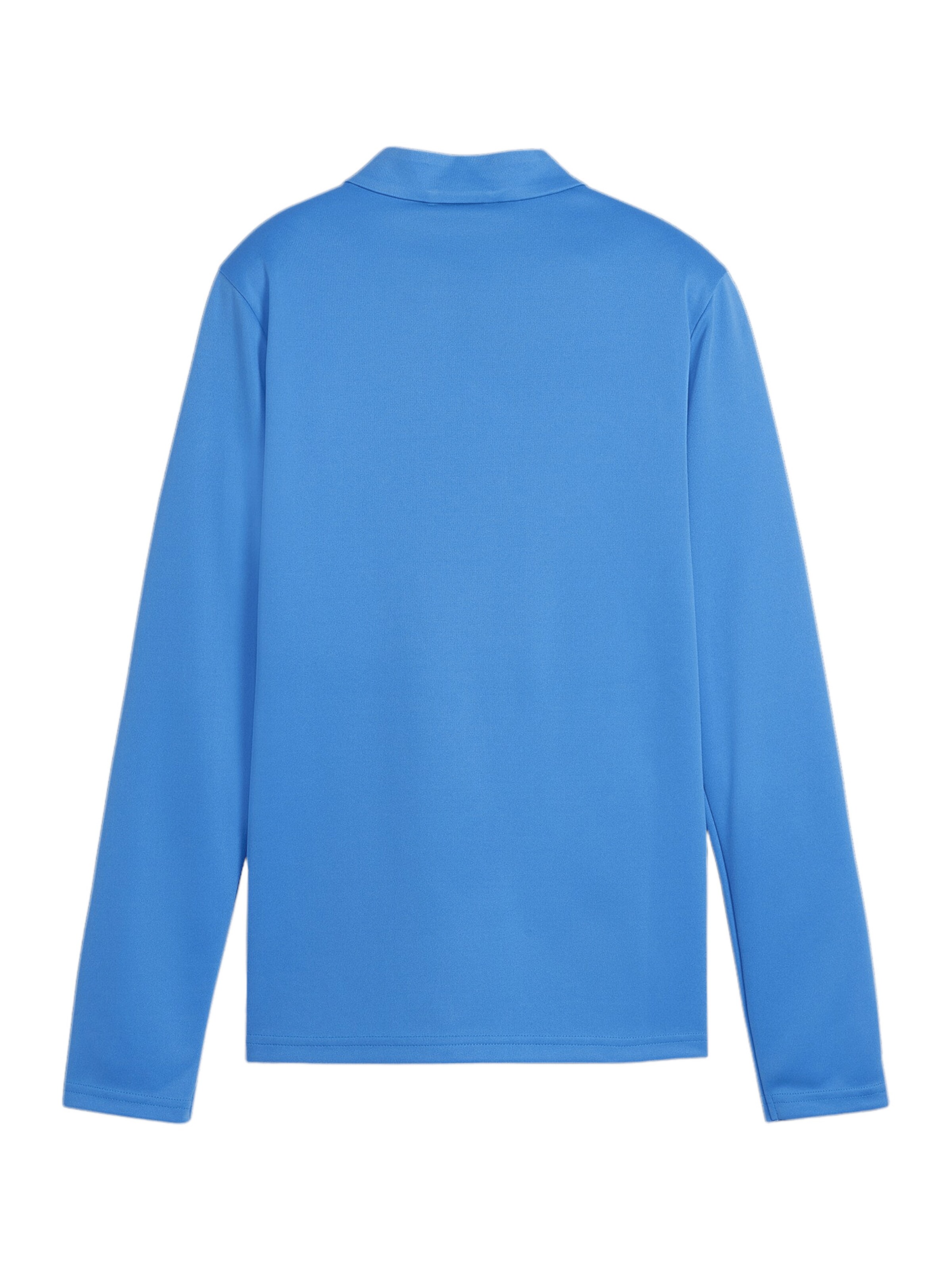 PUMA Trainingsjacke 'TeamGoal' in Blau