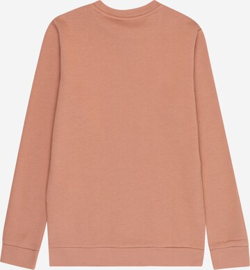 ADIDAS ORIGINALS Sweatshirt 'Adicolor' in Oranje