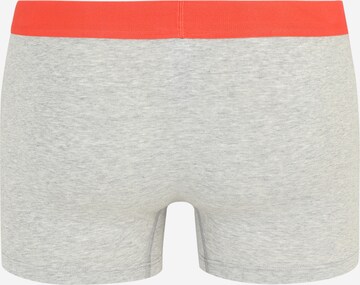 Boxer di Tommy Hilfiger Underwear in grigio