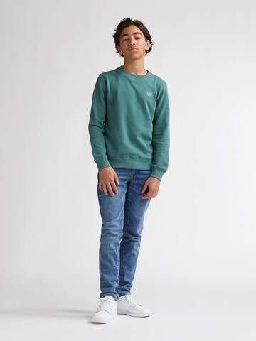 Petrol Industries Sweatshirt in Green