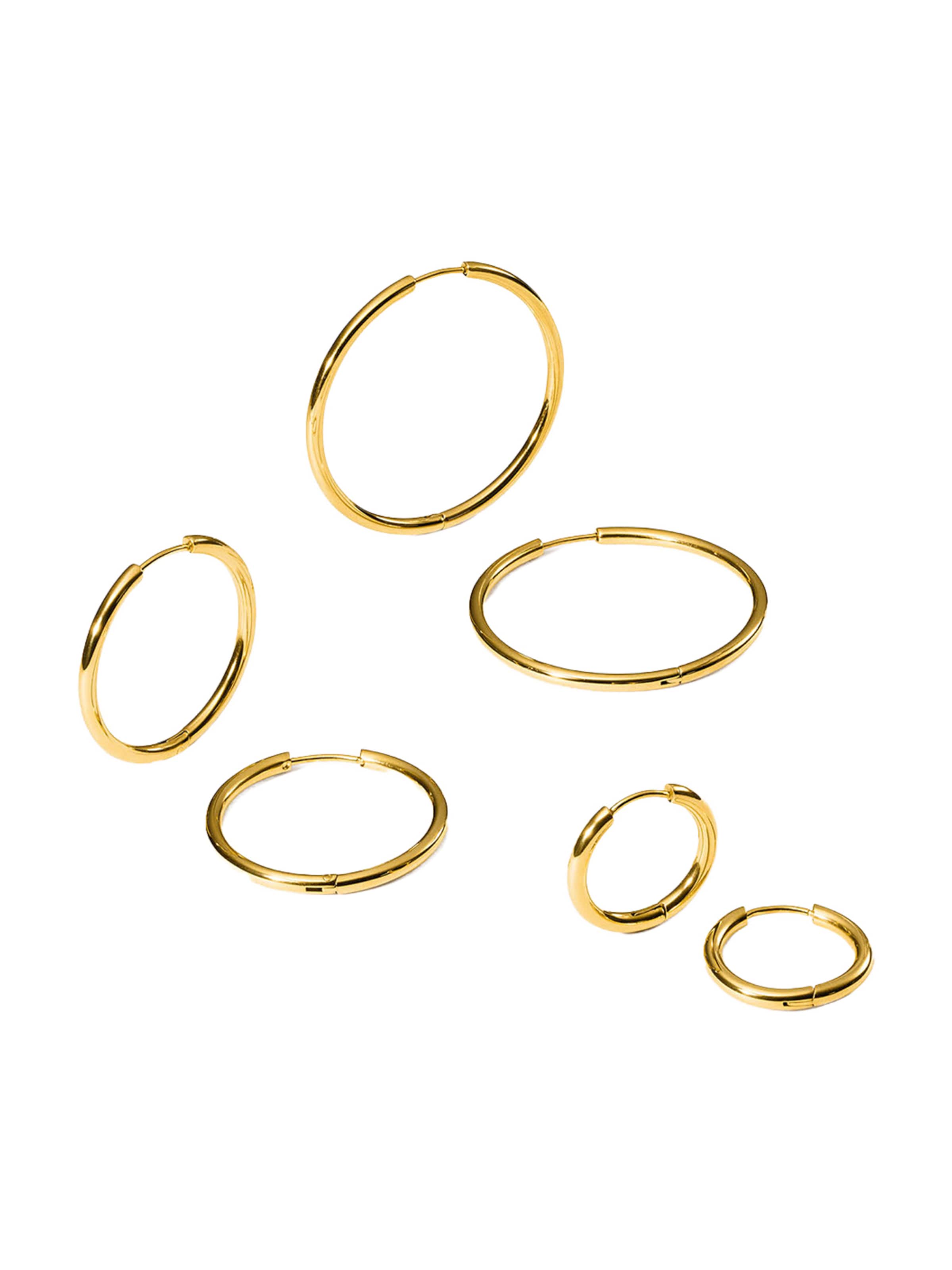 PURELEI Earrings in Gold: front