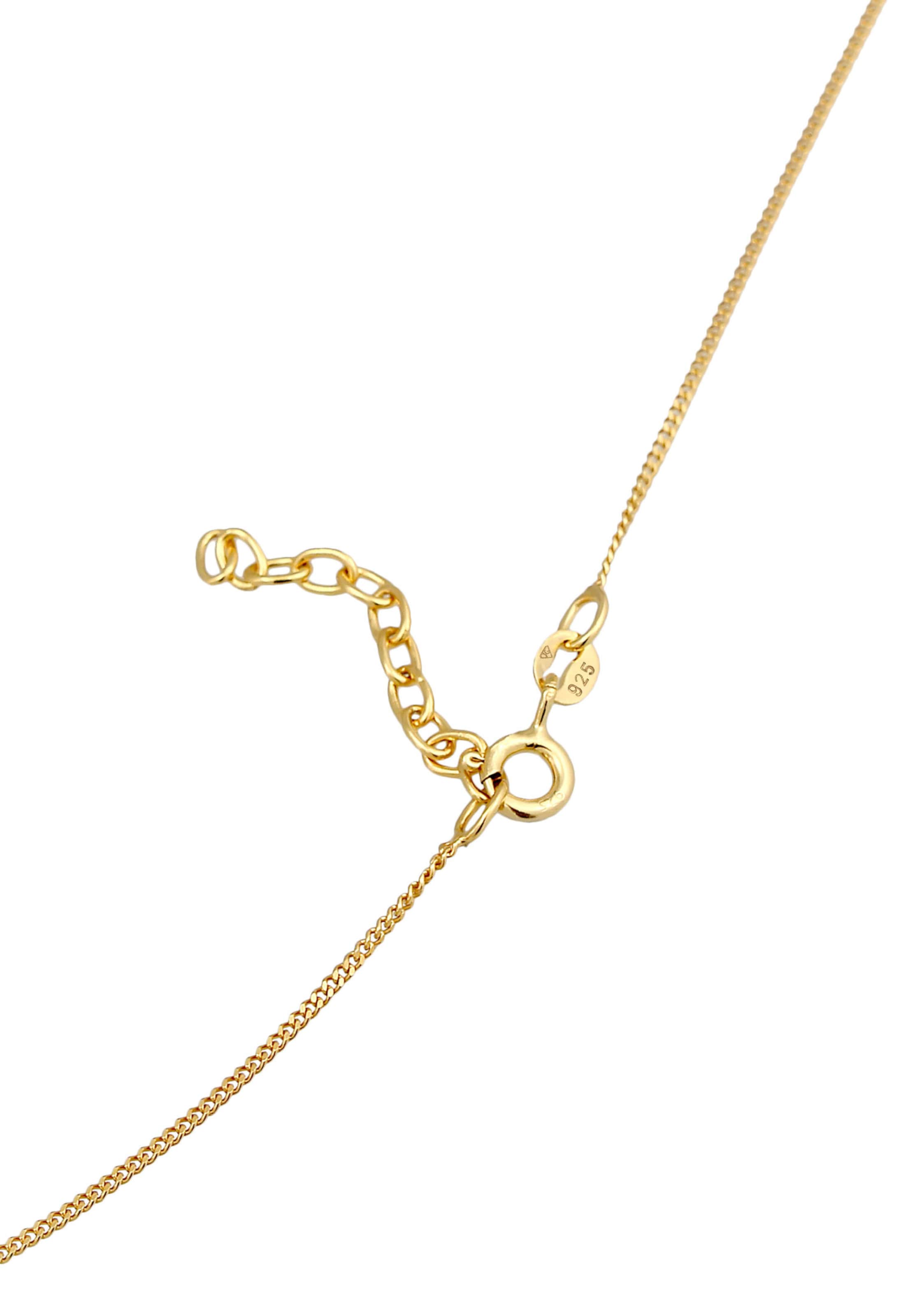 auksinė ELLI Grandinėlė