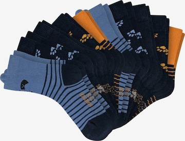 SCHIESSER - Calcetines en azul: frente