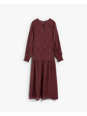 Scalpers Dress in Brown