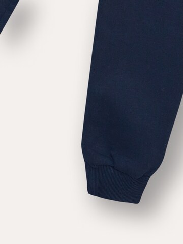 WINKIKI Regular Pants in Blue