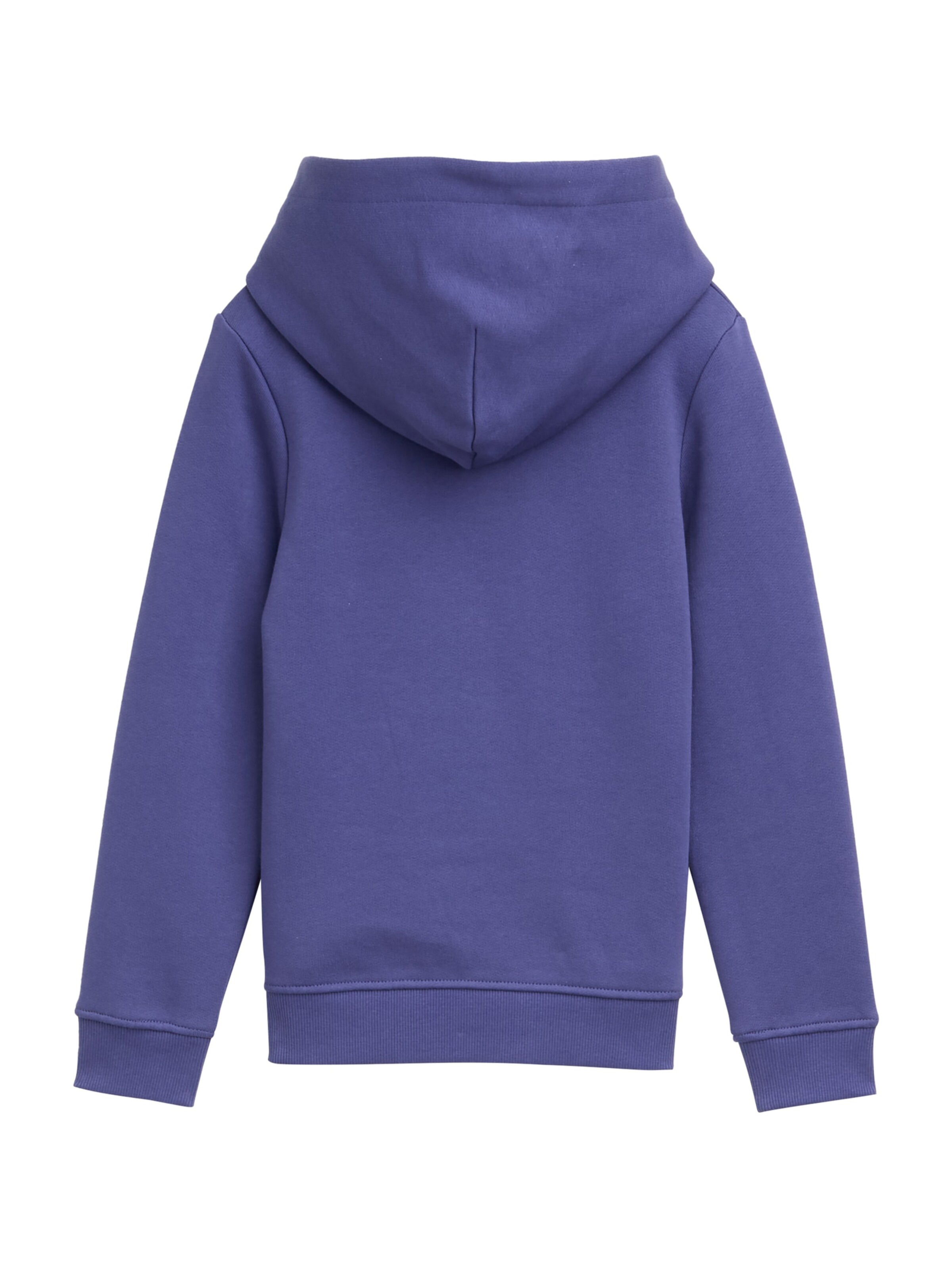 TOM TAILOR Свитшот в Синий