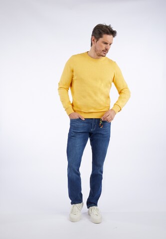 Pull-over HECHTER PARIS en jaune