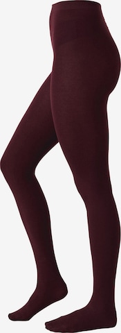 Next - Leotardos en rojo: frente