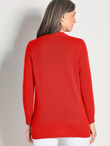 Goldner Sweater in Red