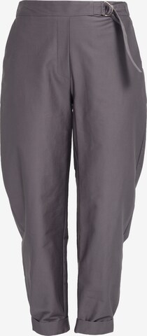 Pantalon HELMIDGE en gris : devant