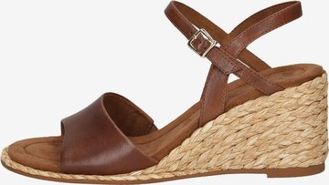 CAPRICE Sandals in Brown