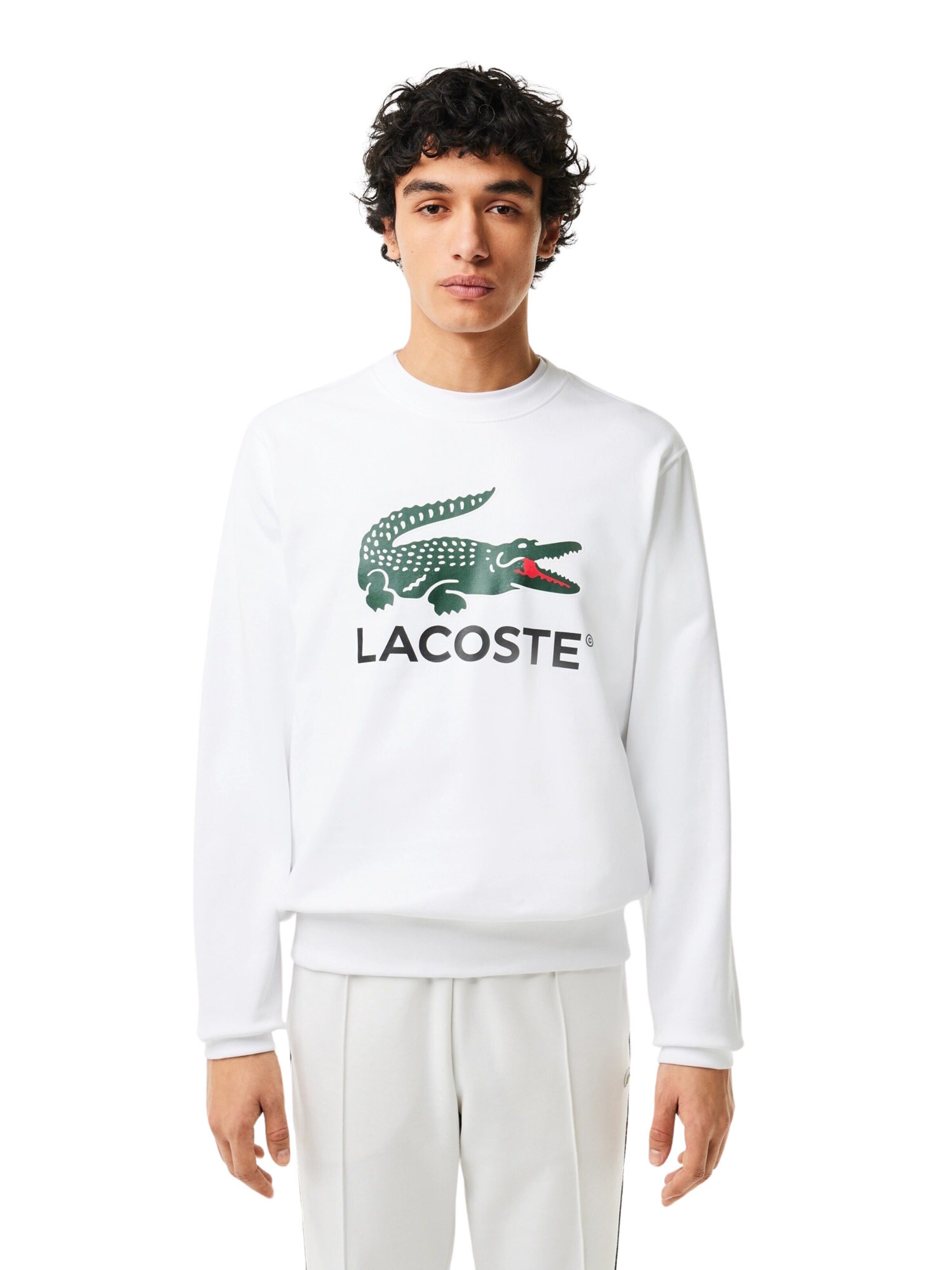 Felpa di LACOSTE in bianco: frontale