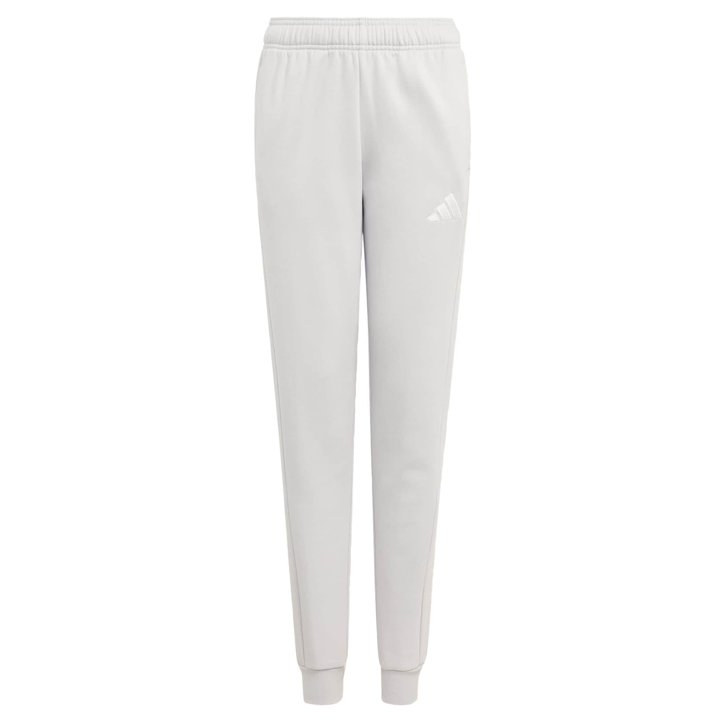 ADIDAS PERFORMANCE Tapered Sportbroek 'Entrada26' in Grijs: voorkant