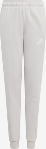 ADIDAS PERFORMANCE Workout Pants 'Entrada26' in Grey: front