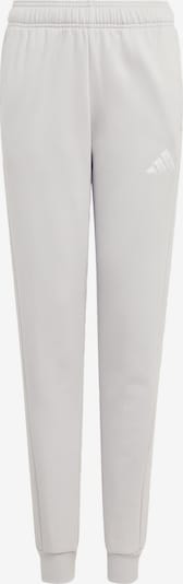 Sportinės kelnės 'Entrada26' iš ADIDAS PERFORMANCE, spalva – pilka, Prekių apžvalga