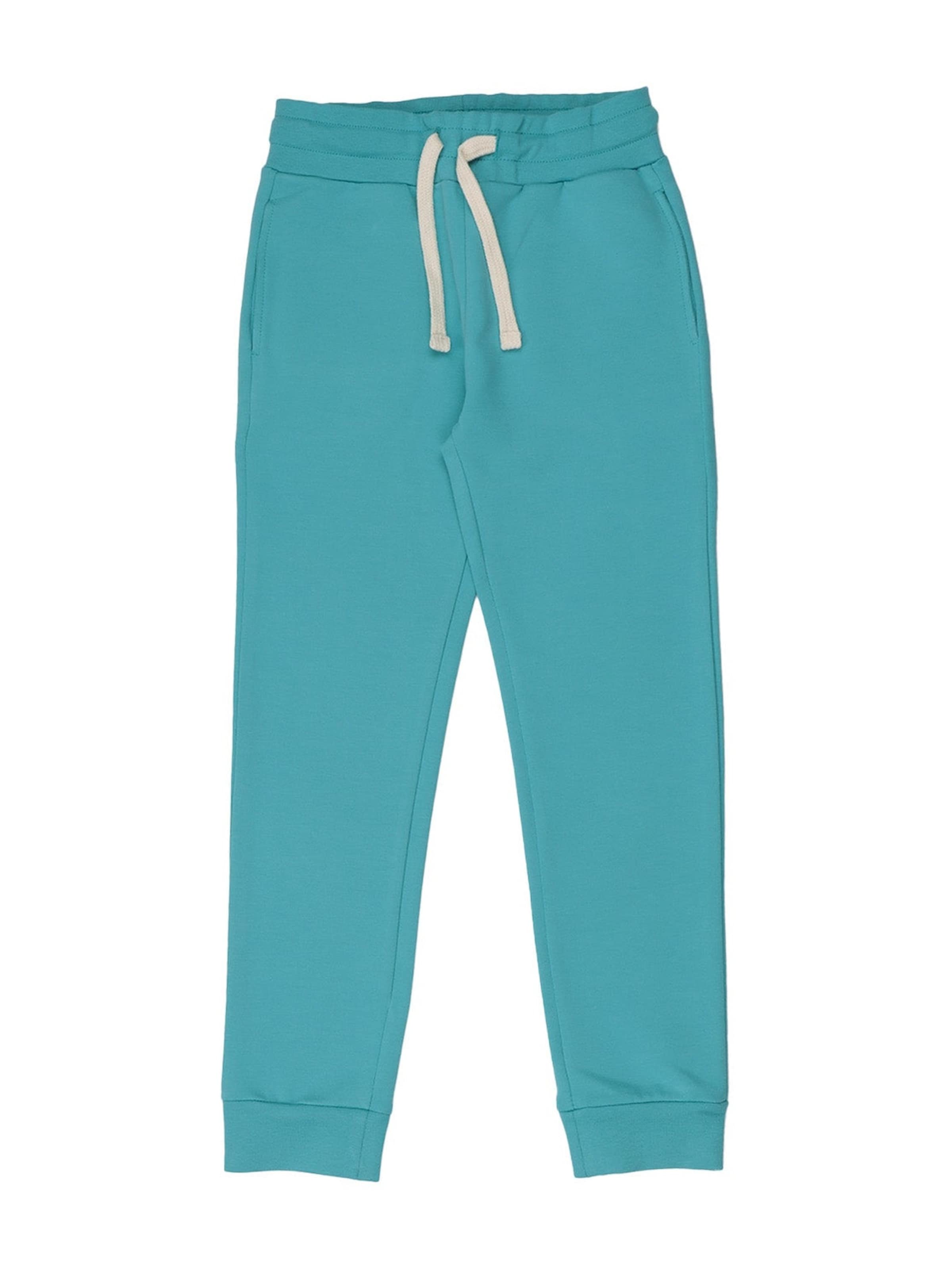 Walkiddy Regular Pants 'Walkiddy - Mystic Lagoon Jogger' in Green: front