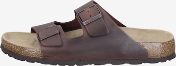 DR. BRINKMANN Mule 'Bonillo' in Brown: front