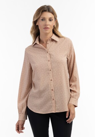 Usha Blouse in Brown: front