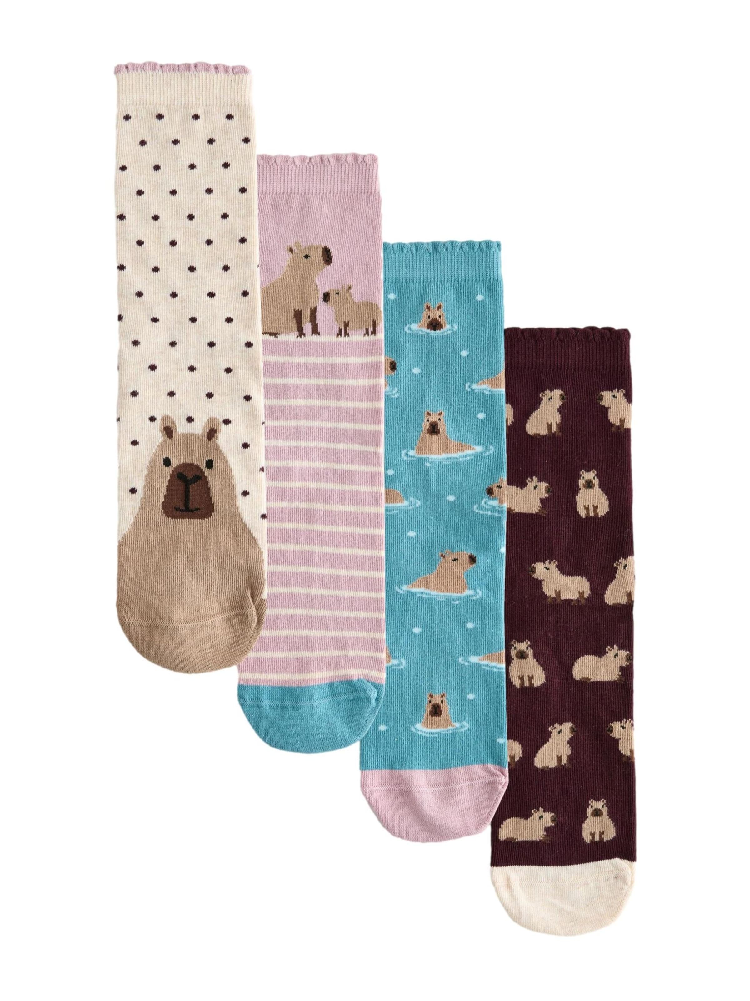 Next Socken in Beige: Vorderseite