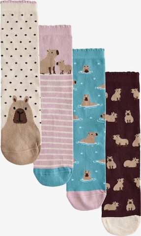 Next Socken in Beige: Vorderseite