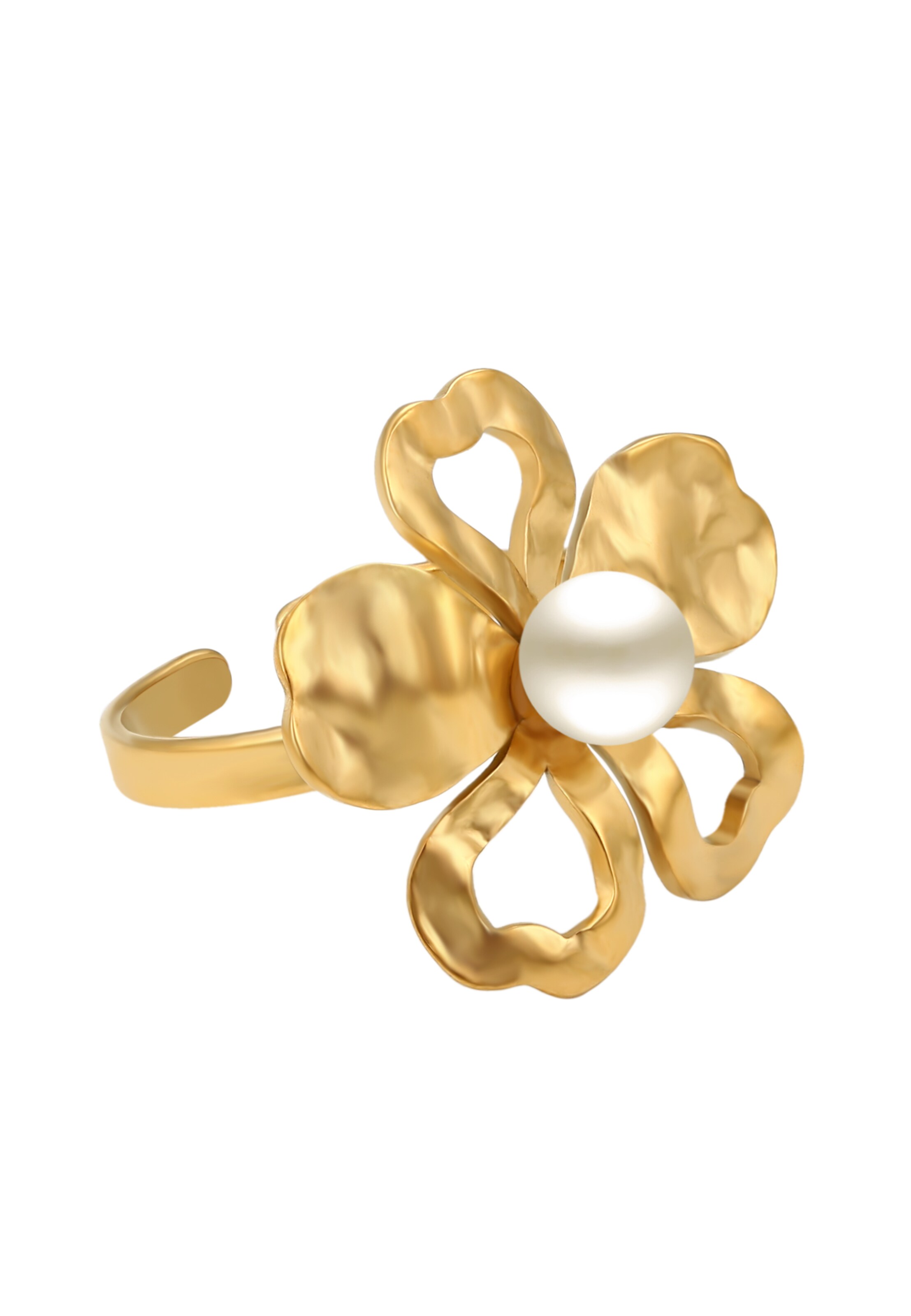 faina Ring in Goud