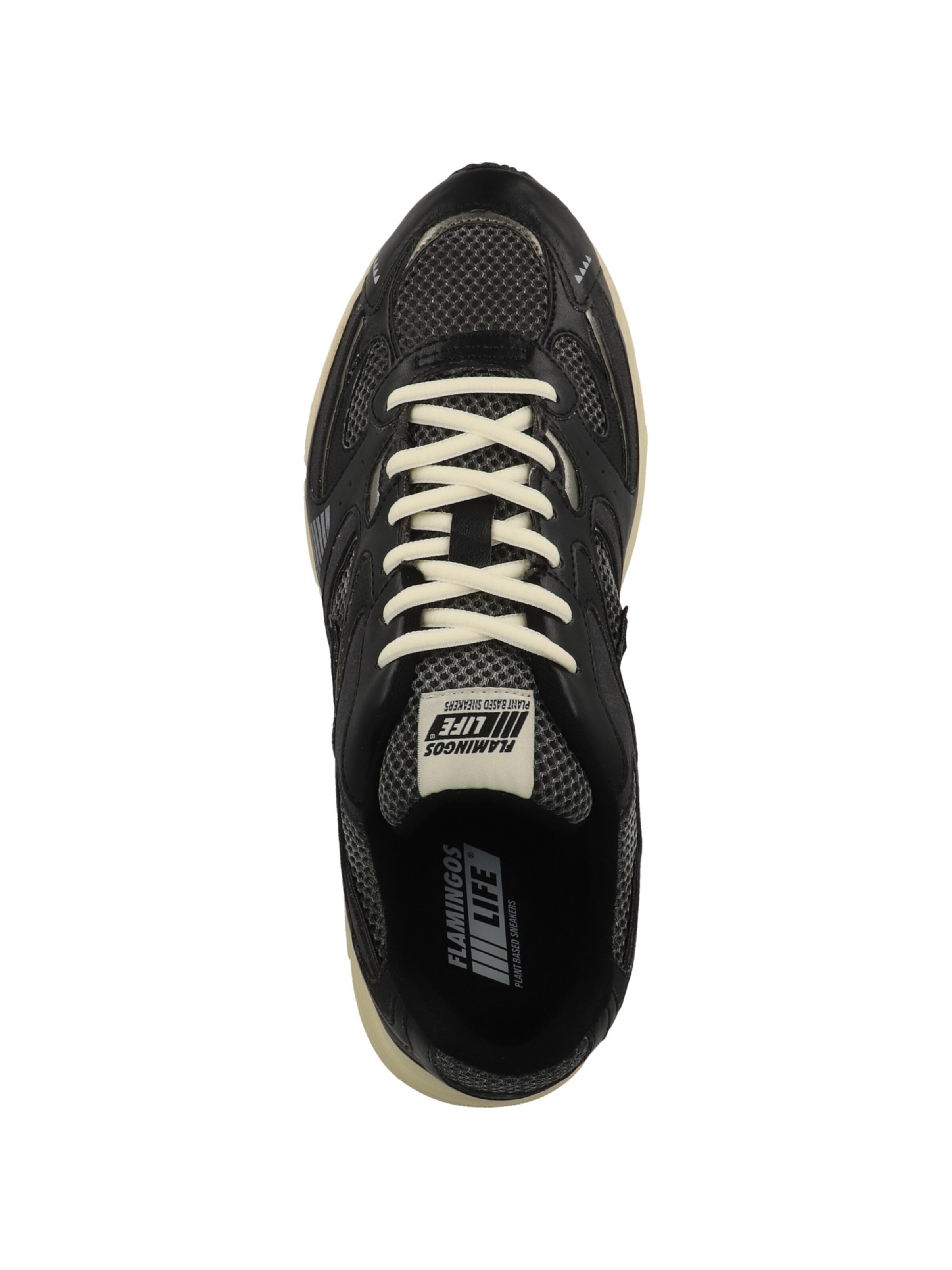 Baskets basses 'Wairoa' Flamingos Life en noir