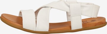 ILC Sandals in White