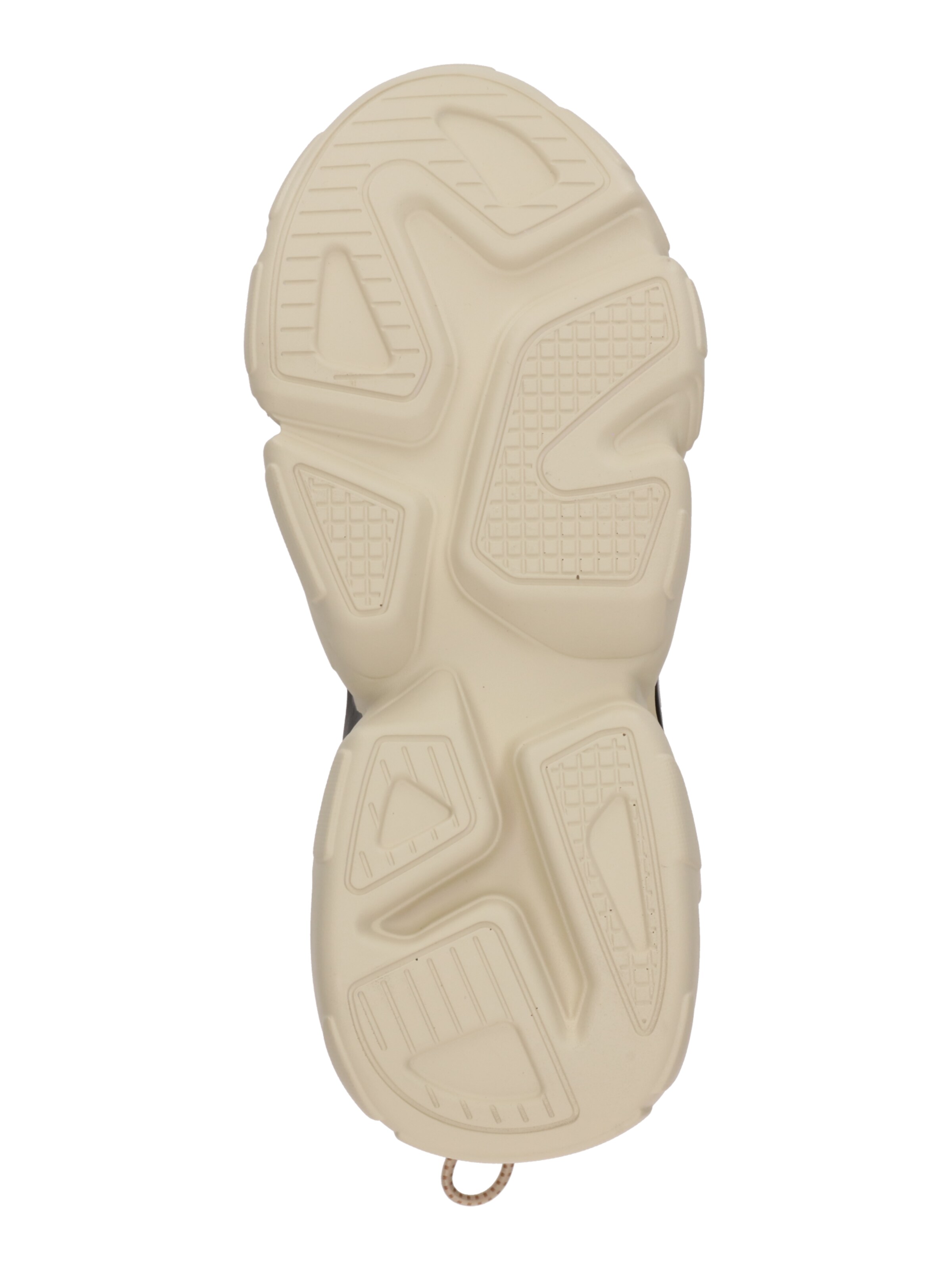 STEVE MADDEN Sneakers 'Spectator-L' in Mixed colors