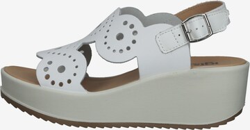 IGI&CO Sandals in White