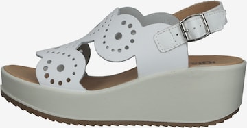 Sandalo di IGI&CO in bianco