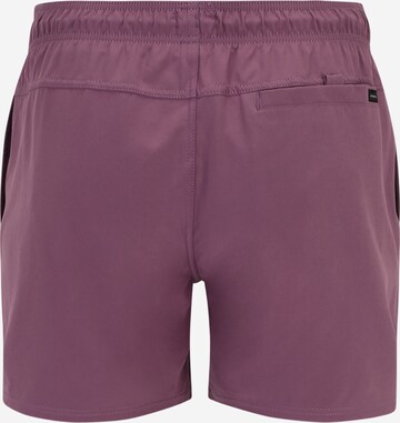 RIP CURL Badeshort 'DAILY VOLLEY' in Lila