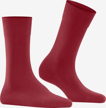 FALKE Socks in Red
