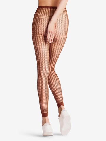 FALKE Leggings 'Wicker Game' in Braun