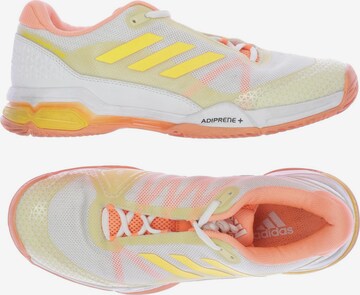 ADIDAS PERFORMANCE Sneakers & Trainers in 42,5 in Mixed colors: front