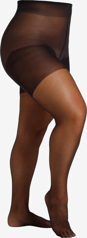 camano Feinstrumpfhose 'Women Curvy Tights 20 DEN matt' in Schwarz