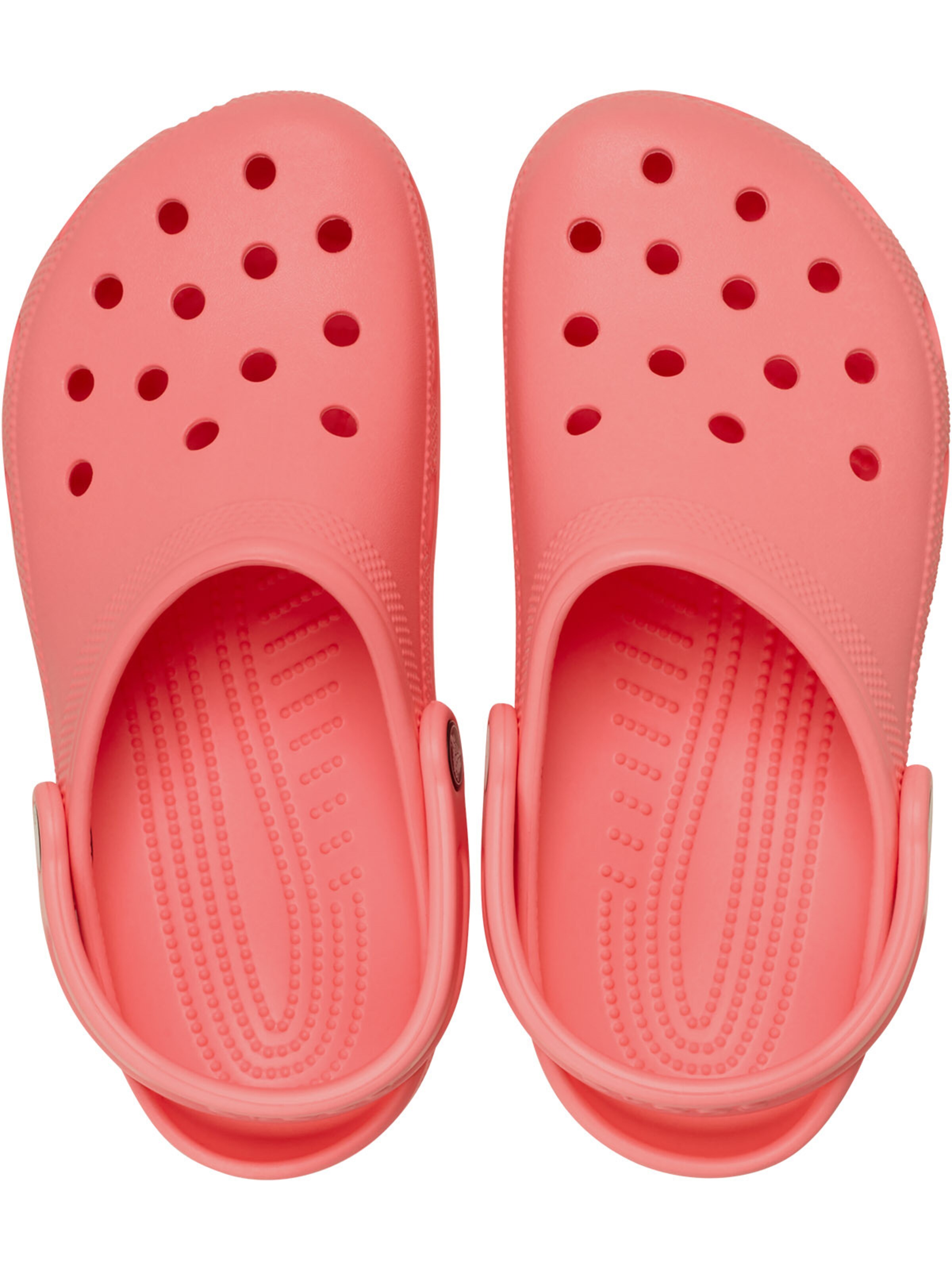 Crocs Clogs‌ in Pink