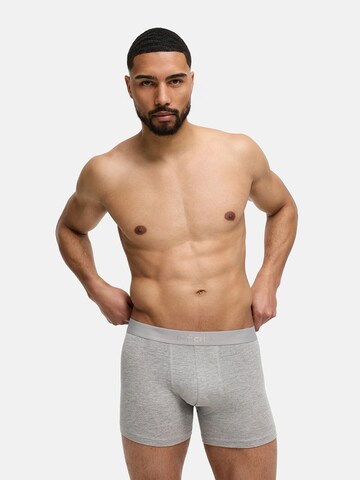 cfab (formerly creamy fabrics) Boxershorts 'Boxershorts'‌‌‌‌‌‌‌‌‌‌ in Grau