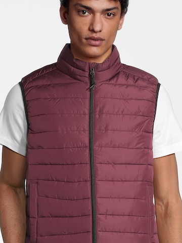 Gilet AÉROPOSTALE en marron