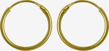 Lucardi Earrings 'Klassisch' in Gold: front