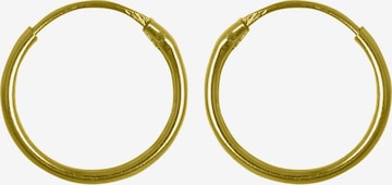 Lucardi Oorbellen 'Klassisch' in Goud: voorkant