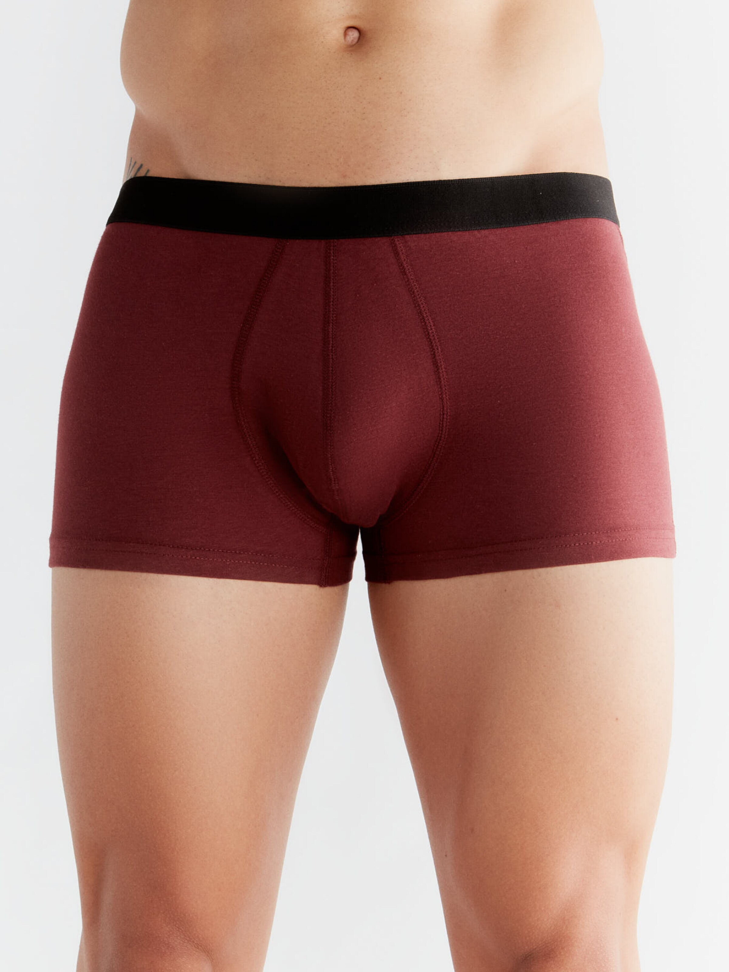 Albero Natur Boxer shorts 'Herren Trunkshorts aus Bio-Baumwolle' in Red: front