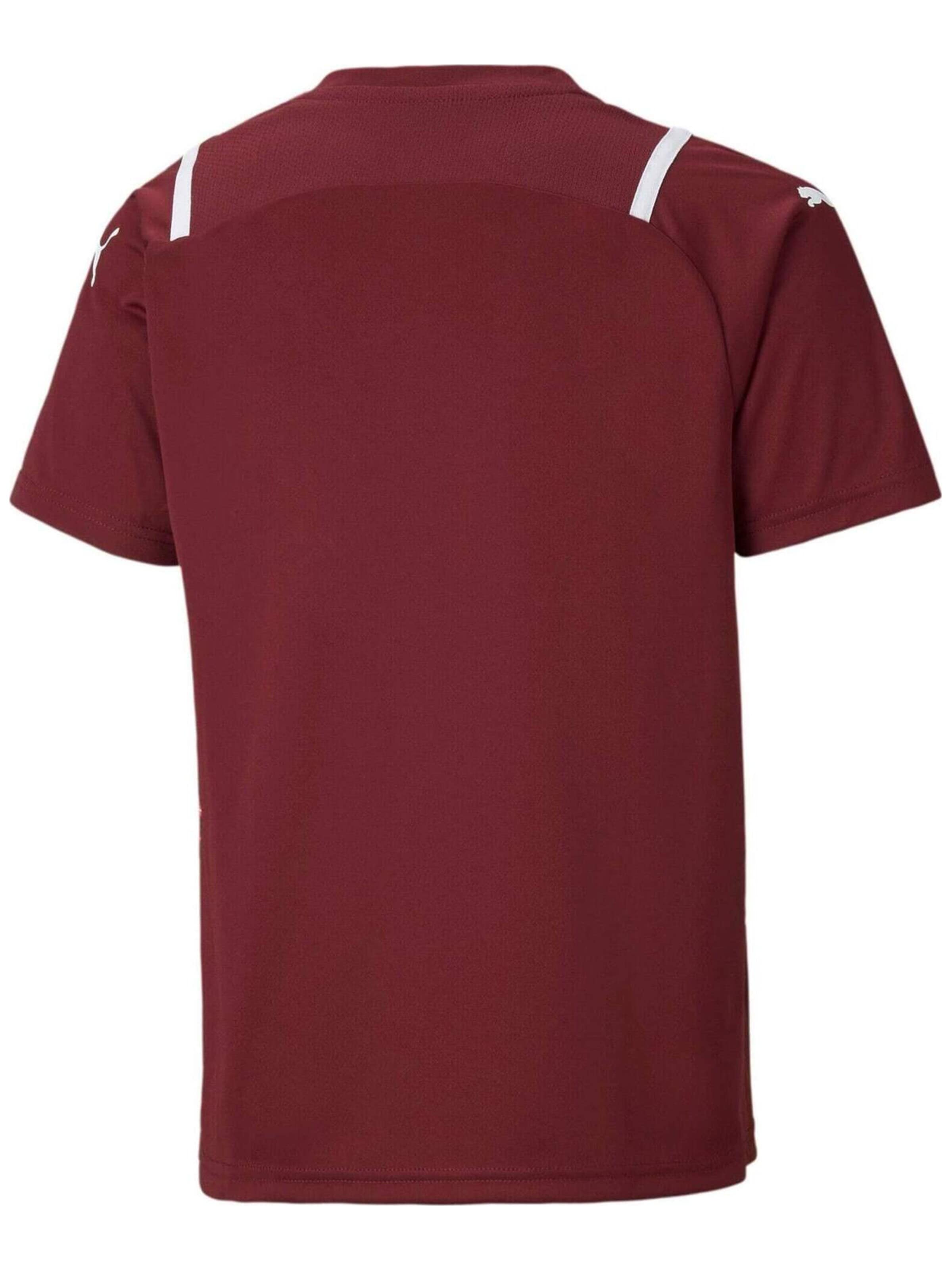 PUMA Shirt 'Puma Teamultimate Jersey Jr'‌‌ in Rot